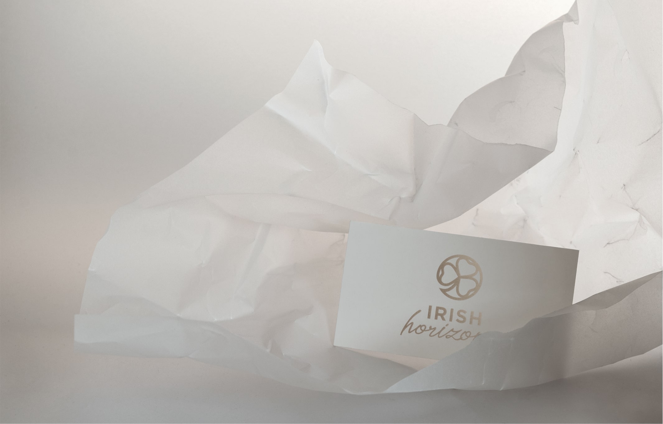 Irish Horizons, Designed and Developed by Ester Digital