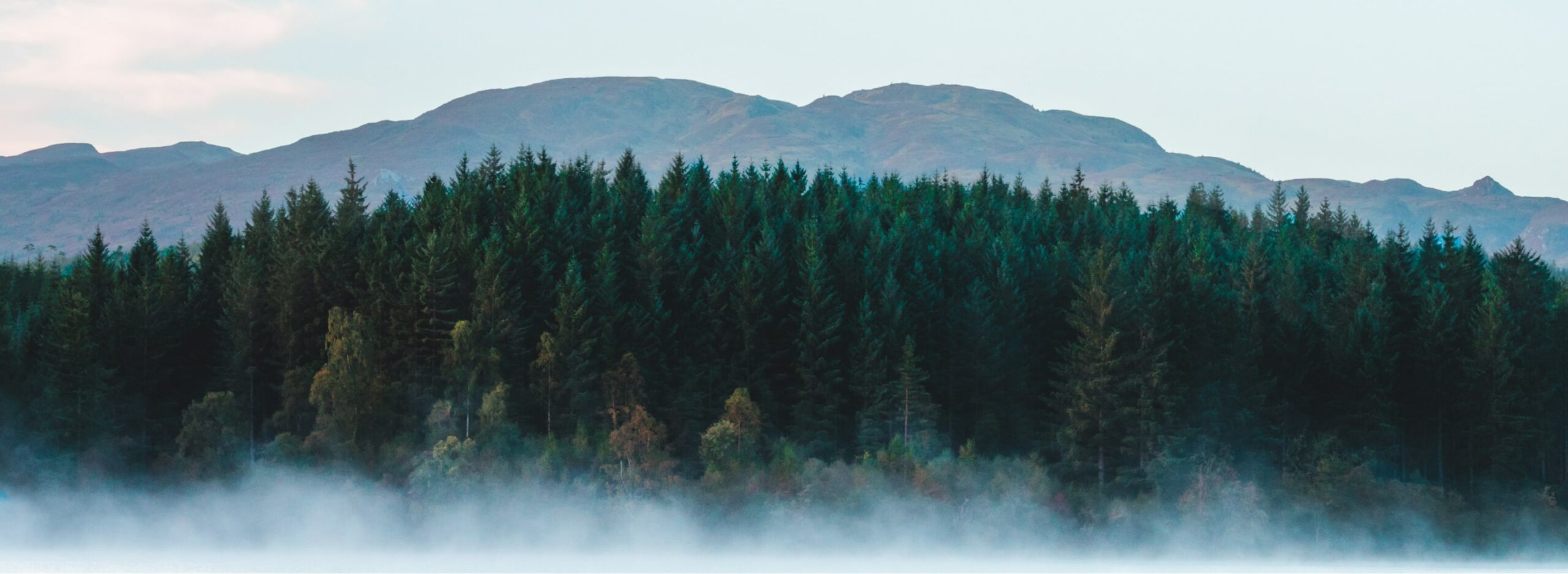 Authentic Vacations, Designed and Developed by Ester Digital