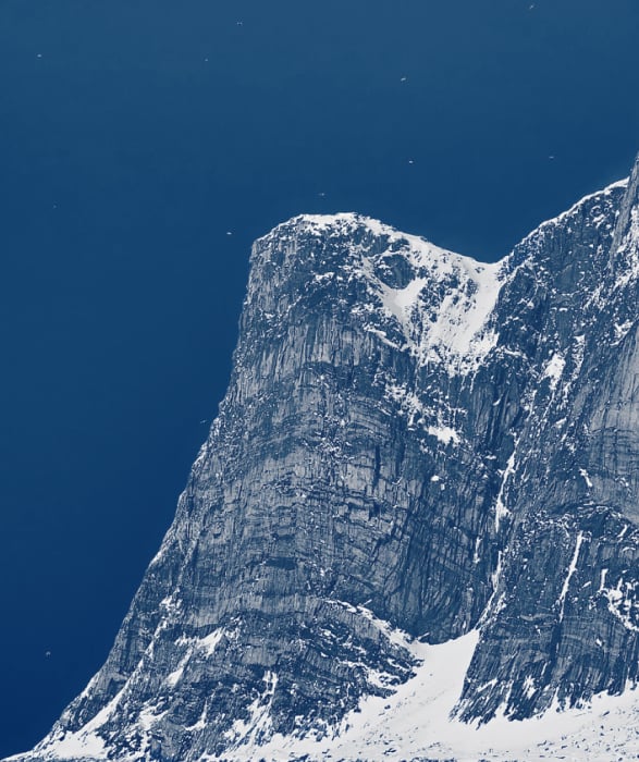 Trans Nordic Tours Website