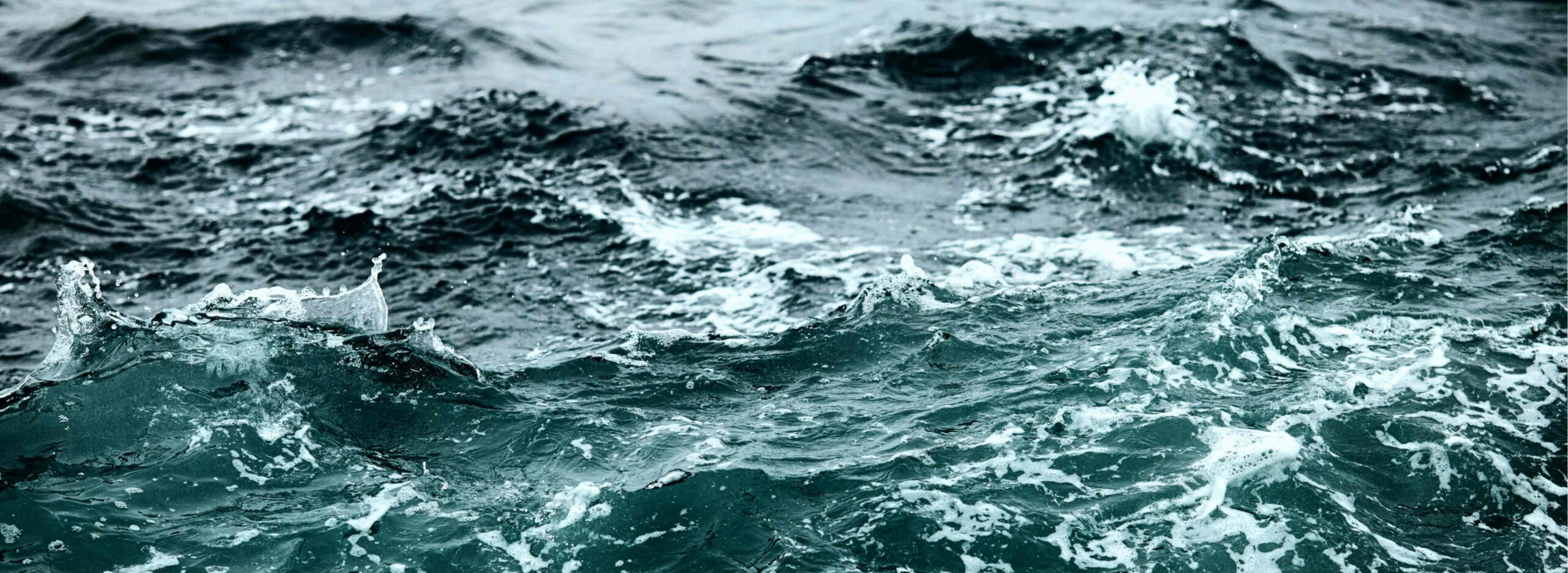 Jaktar, Designed and Developed by Ester Digital