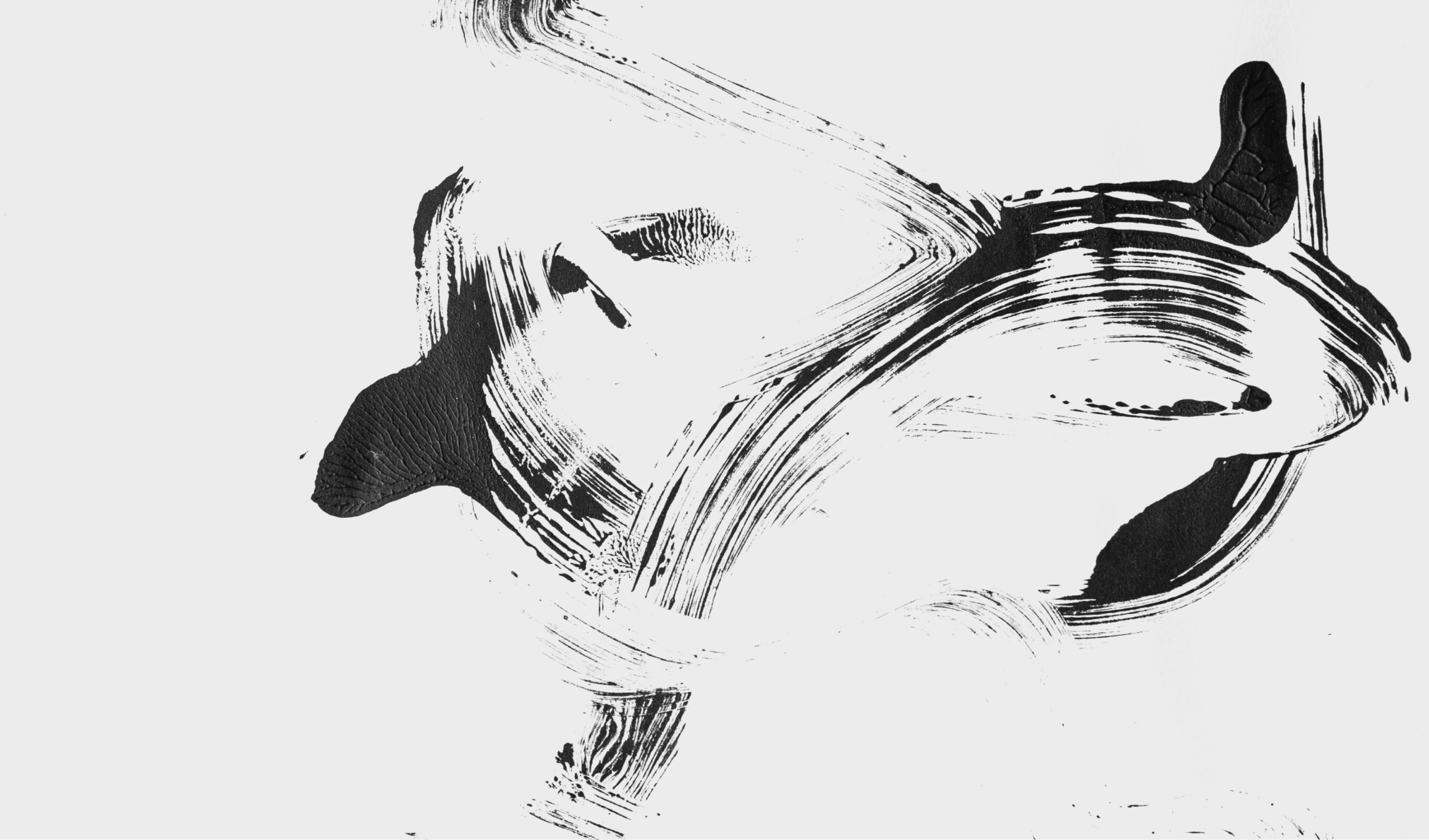 Die Kunst der Monotypie, Designed and Developed by Ester Digital